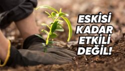 Dondurucu Soğuklardan Mana Verilemeyen Hastalıklara: İklim Değişikliklerinin Sebep Olduğu Sorunları Artık Neden Ağaç Dikerek Çözemiyoruz?