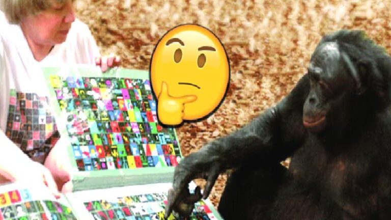 Hayvanlar, İnsanların Lisanlarını Anlayıp Öğrenebilirler mi? İşte Birbirinden Farklı Çalışmaların Çarpıcı Sonuçları
