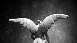 Kimi insanların beyninde çıkan “melek sembolü” gerçek mi, aldatmaca mı?