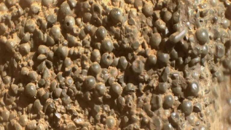 Mars’ta bir yeni “orada olmaması gereken kaya” keşfi daha