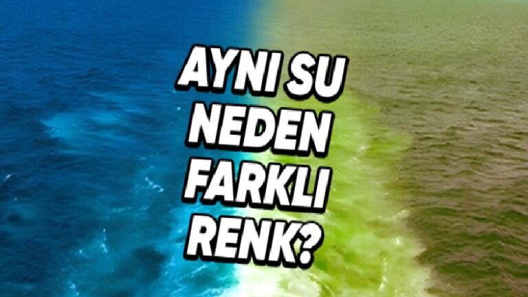 Okyanus Sularının Farklı Yerlerde Farklı Renklerde Gözükmesinin Tuhaf Nedeni (Hani Su Renksizdi?)