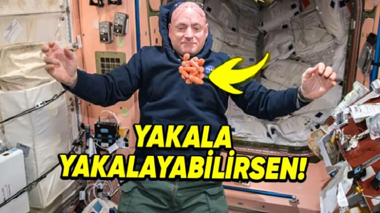 Tuvalete Gitmekten Uyumaya: Uzayda Yapılması Çok Zor Olan 9 Günlük Görev