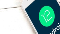 Android 12 ve 12L için yolun sonu: Güvenlik güncellemeleri durduruldu