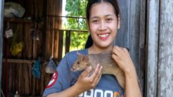 Kahraman sıçan Ronin, mayın tespitinde Guinness Dünya Rekorunu kırdı