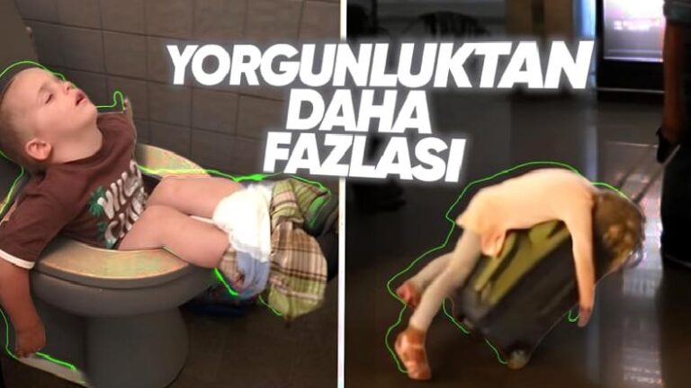 Olur Olmadık Yerde Uykuya Dalıp Birdenbire Uyanıyorsanız Nur Topu gibi Narkolepsiniz Olabilir: Pekala Tedavisi Var mı?