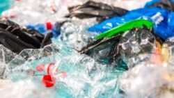 Plastiğin tabiatta parçalanması ne kadar sürüyor? İşte müthiş cevap!