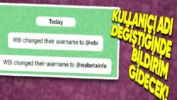 WhatsApp’ın Yılan Öyküsüne Dönen “Kullanıcı Adı” Özelliği ile İlgili Yeni Bilgiler Ortaya Çıktı