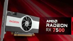AMD Radeon RX 7500 Ekran Kartı Nihayet Ortaya Çıktı