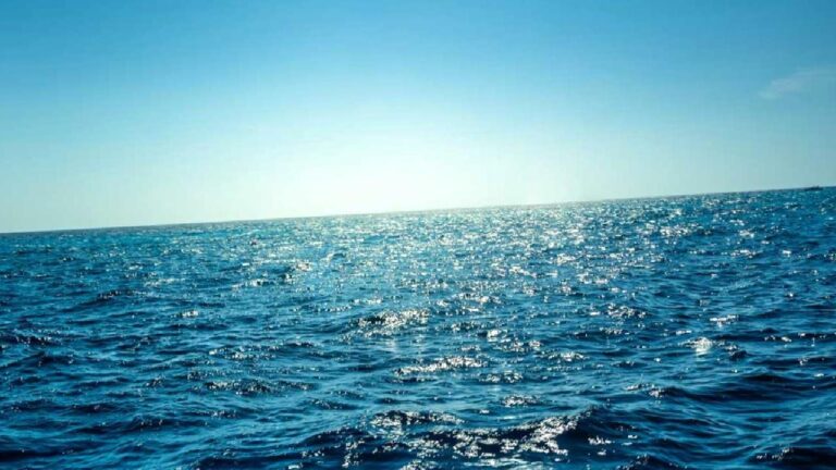 Deniz ve okyanusların rengi, mora mı dönüşüyor?