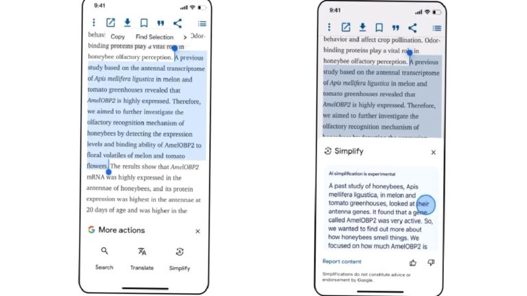Google’ın yeni “Simplify” özelliği, anlamadığınız metinleri sizin için basitleştirecek