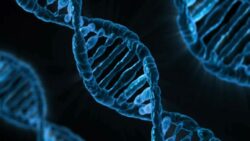 İnsanlığın kodu DNA nasıl keşfedildi?