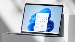 Windows 11 vs 10: En çok kullanılan işletim sistemleri belli oldu!