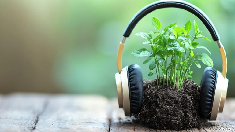 Bahçenizdeki bitkilerin ilacı, klasik müzik dinlemek olabilir
