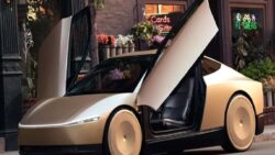 Tesla robotaksiler, fren sorunu ile gündemde!
