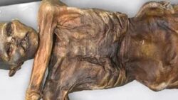 Alplerin Buz Adamı Ötzi’nin komşuları, ilginç DNA verileri sunuyor