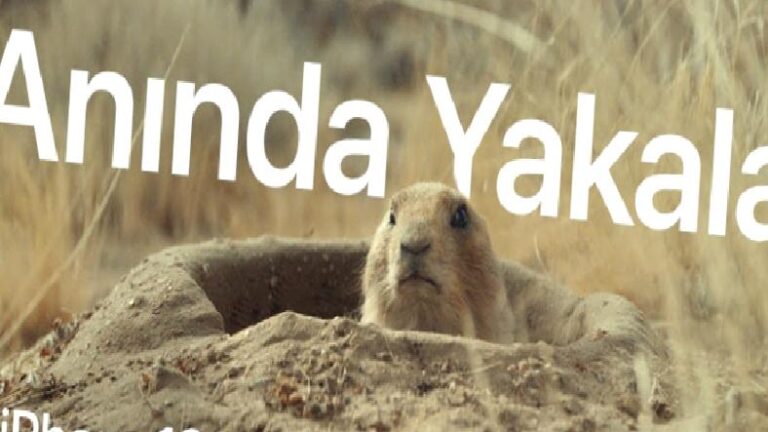 Apple Yeni Bir iPhone 16 Pro Reklamı Yayımladı: Yeni Reklam ‘Kamera Denetimi’ Tuşuna Odaklanıyor [Video]