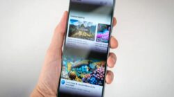 Google Pixel 10 Pro ekranında önemli güncelleme!