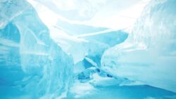 Issız kıtada insan izleri: Antarktika’da bulunan kafatası bize ne anlatıyor?