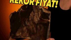 Mars’tan Dünya’ya Düşen En Büyük Gök Taşlarından Biri, Dudak Uçuklatan Fiyata Satıldı