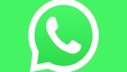 WhatsApp’tan bir yeni özellik daha: “Sorular” geliyor