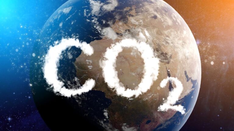 Yeni nesil canlı yapı malzemesi: Hem büyüyor, hem de karbon yakalıyor