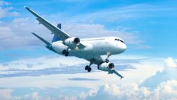 10.000 metreden düştü ama ölmedi: Bilinmeyenlerle dolu bir kurtuluş hikayesi