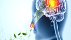 “Beyin yiyen amip”, bir tatilin daha trajedi ile sonuçlanmasına yol açtı