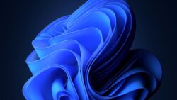 Kaldırılan özellik, Windows 11’e geri dönüyor