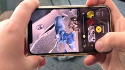 Keneleri cep telefonunuzla nasıl yakalarsınız? En pratik yöntem…