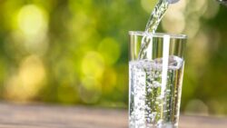 Kimsenin cevabını bilmediği soru: Su ıslak mıdır, yoksa kuru mu?