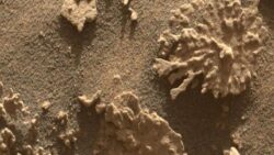 Mars’tan bir ilginç kaya daha: Kızıl gezegendeki suyun kanıtı mı?