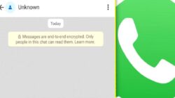 Yakında WhatsApp Hesabı Olmayanlarla WhatsApp Üzerinden Mesajlaşabileceksiniz: İşte Gelecek Yeni Özellik!