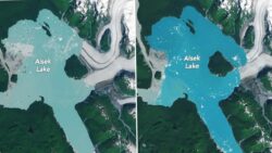 Alaska’da buzulların eridi, ortaya yeni bir ada çıktı