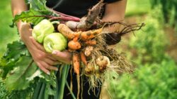 Salata yemeyi seviyor musunuz? Öyleyse bu haber keyfinizi kaçıracak!