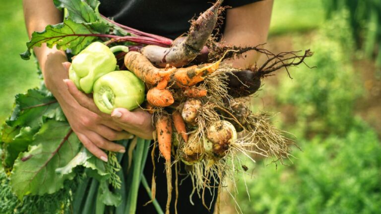 Salata yemeyi seviyor musunuz? Öyleyse bu haber keyfinizi kaçıracak!
