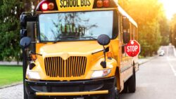 Sarı rengin ardındaki sır: ABD’deki okul otobüslerinin hepsi neden sarı?