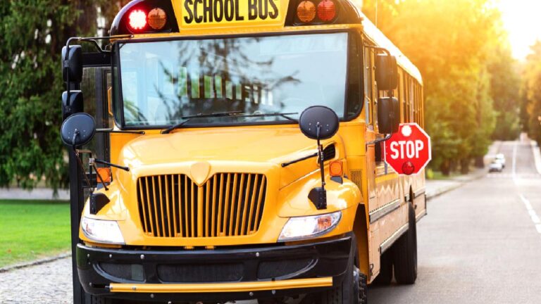 Sarı rengin ardındaki sır: ABD’deki okul otobüslerinin hepsi neden sarı?