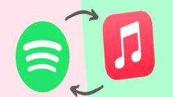 Spotify listelerini Apple Music’e aktarmak çocuk oyuncağı