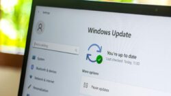 Windows 10 için yolun sonu: Son güncelleme de yayınlandı