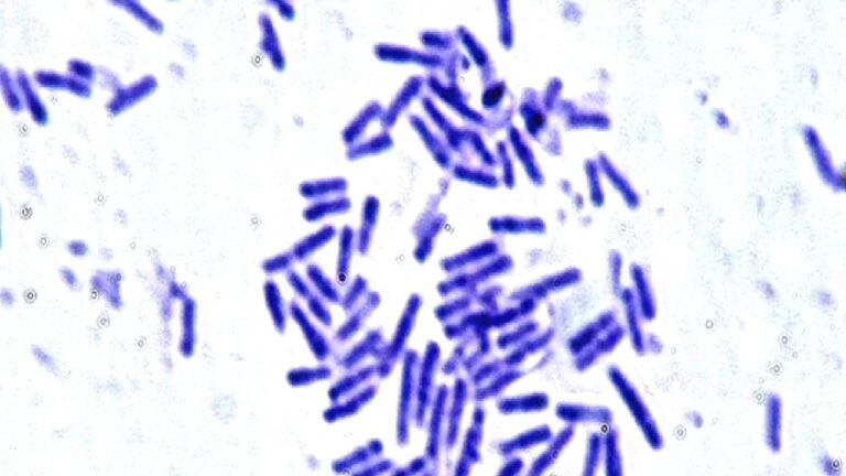 Astronotlar için umut veren keşif: Mikroorganizmaların uzay direnci kanıtlandı