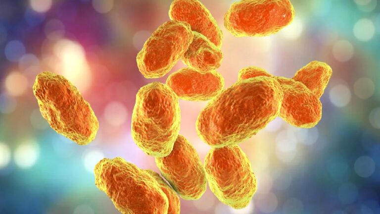 Hiç bilmeseniz de Dünya’nın en ölümcül virüsü o: Haemophilus influenzae tip B