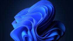 Son veriler şaşırttı: Windows 10 düşerken, Windows 7 sürprizi yaptı