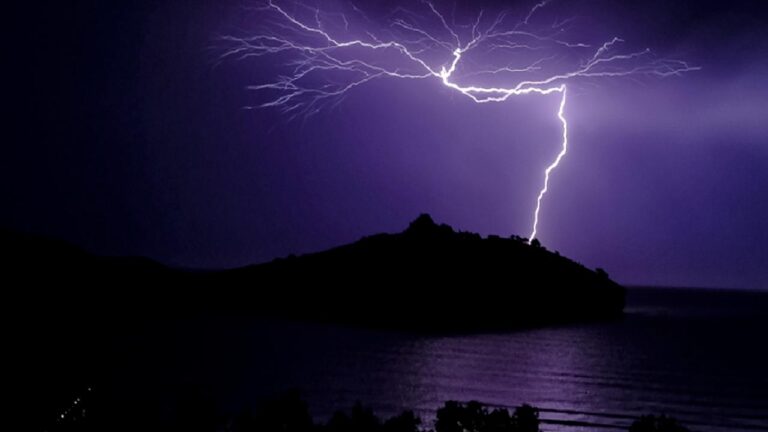 Telefon kamerasıyla çekilen en iyi fotoğraflar belli oldu: İşte kazananlar!