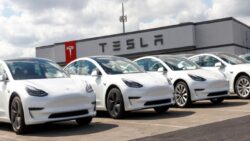 Tesla hakkında herkes yanıldı, sevinen Elon Musk oldu