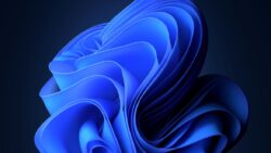 Windows 11’e bir kısıtlama daha: Artık kurulum neredeyse imkansız