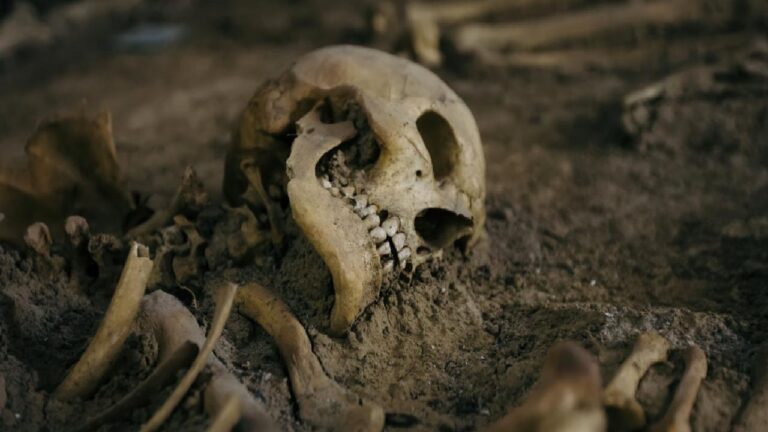 Arkeologlar, bir iskeletin cinsiyetini nasıl anlayabiliyor?
