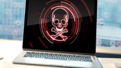 Yıllar geçiyor, sorun değişmiyor: Korsan kullanım nasıl engellenecek?