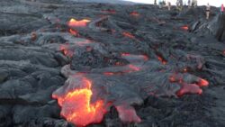 “Gözü pek” yaşam formları: Lavlar daha soğumadan yerleşiyorlar