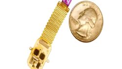 Kablo yok, ameliyat yok: Işıkla beyin kontrolü dönemi başlıyor