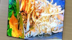 LG WOLED Ekran Teknolojisi ile Geliyor!